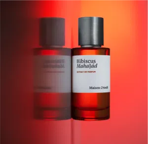 Hibiscus Mahajád By MAISON CRIVELLI