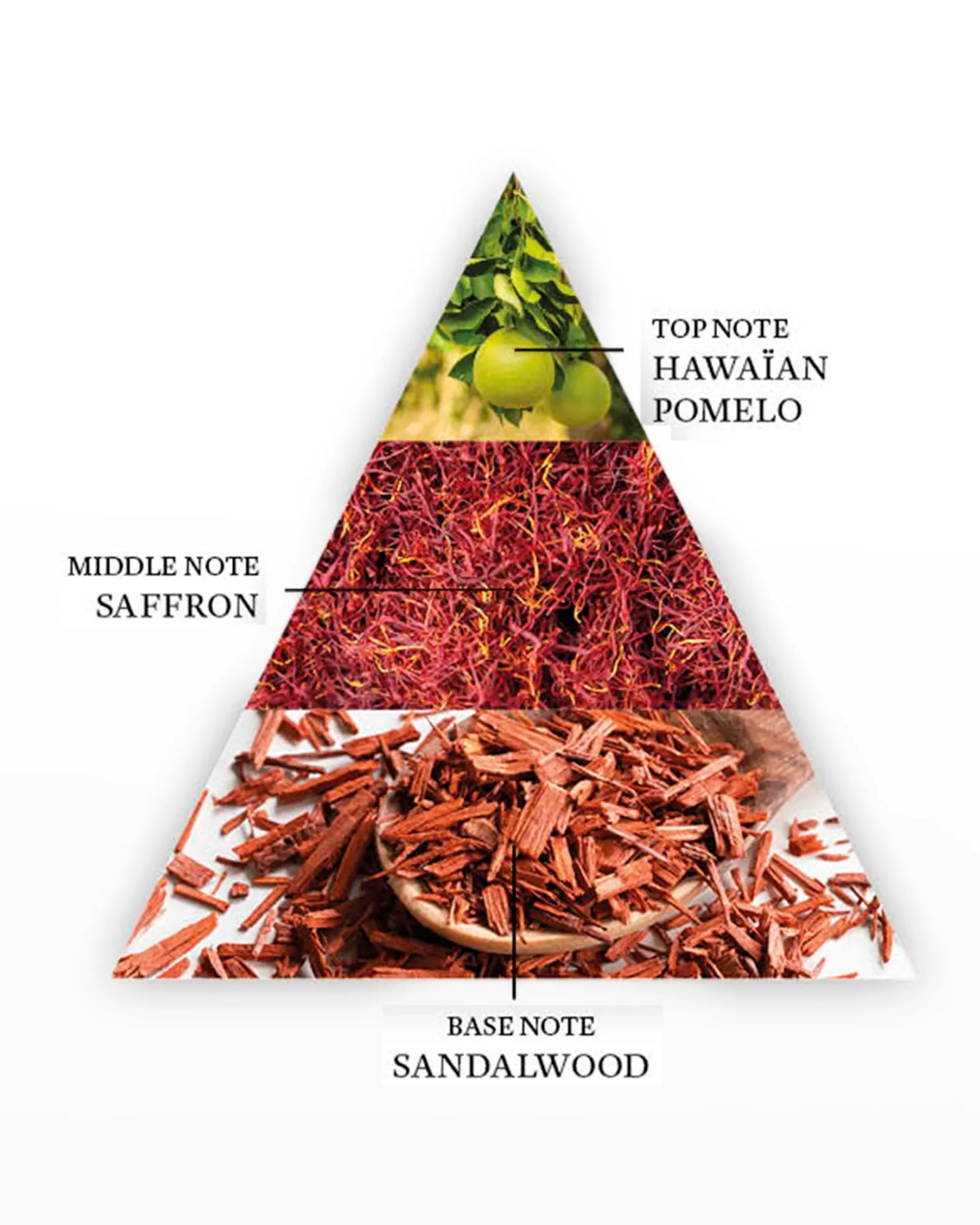 Sun Force By The Harmonist