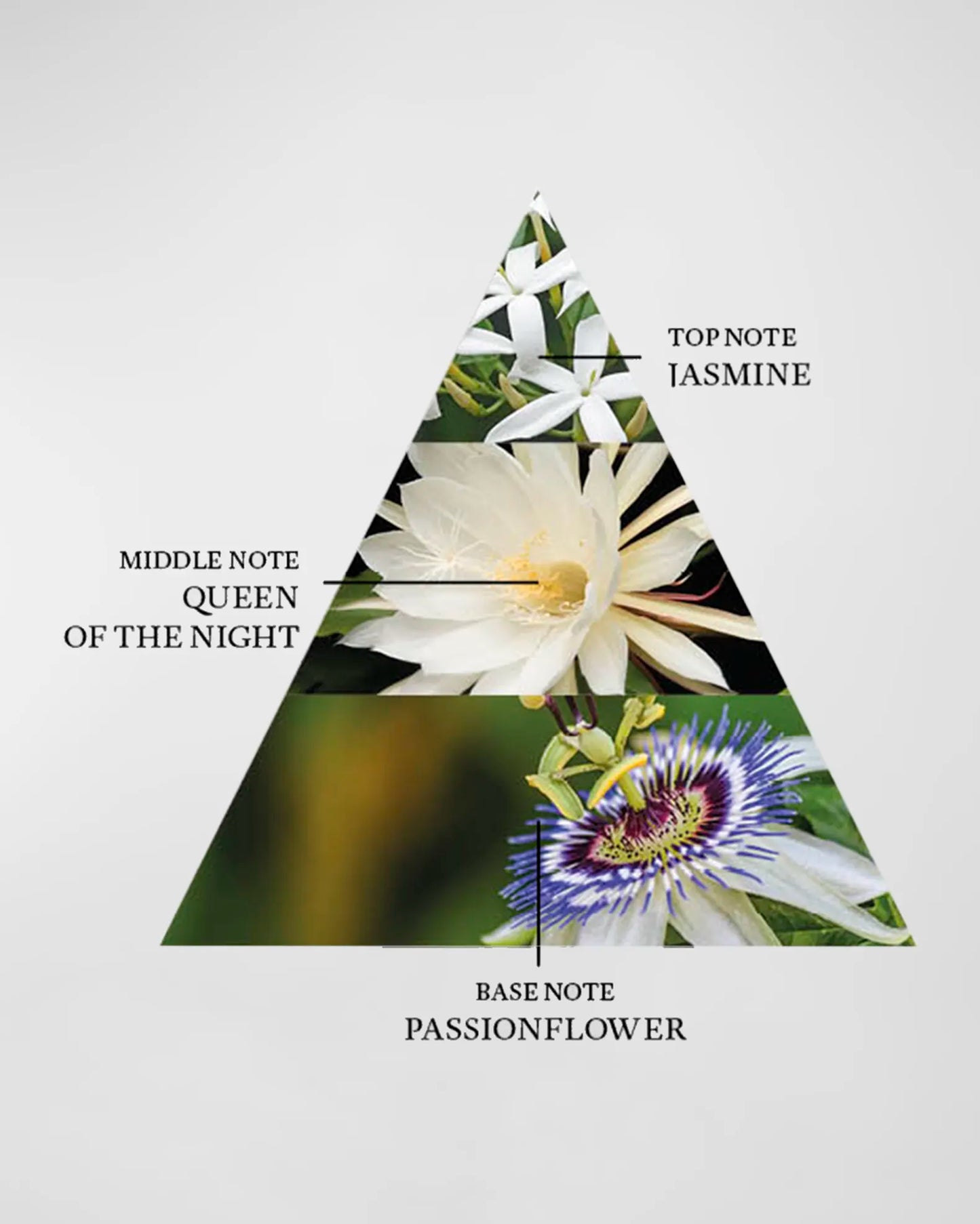 Moon Glory By The Harmonist