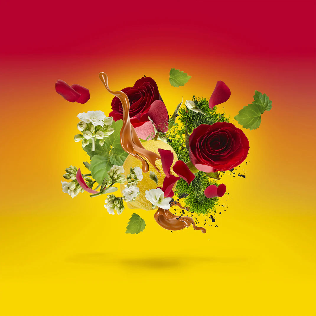 Levar del Sole by Casamorati