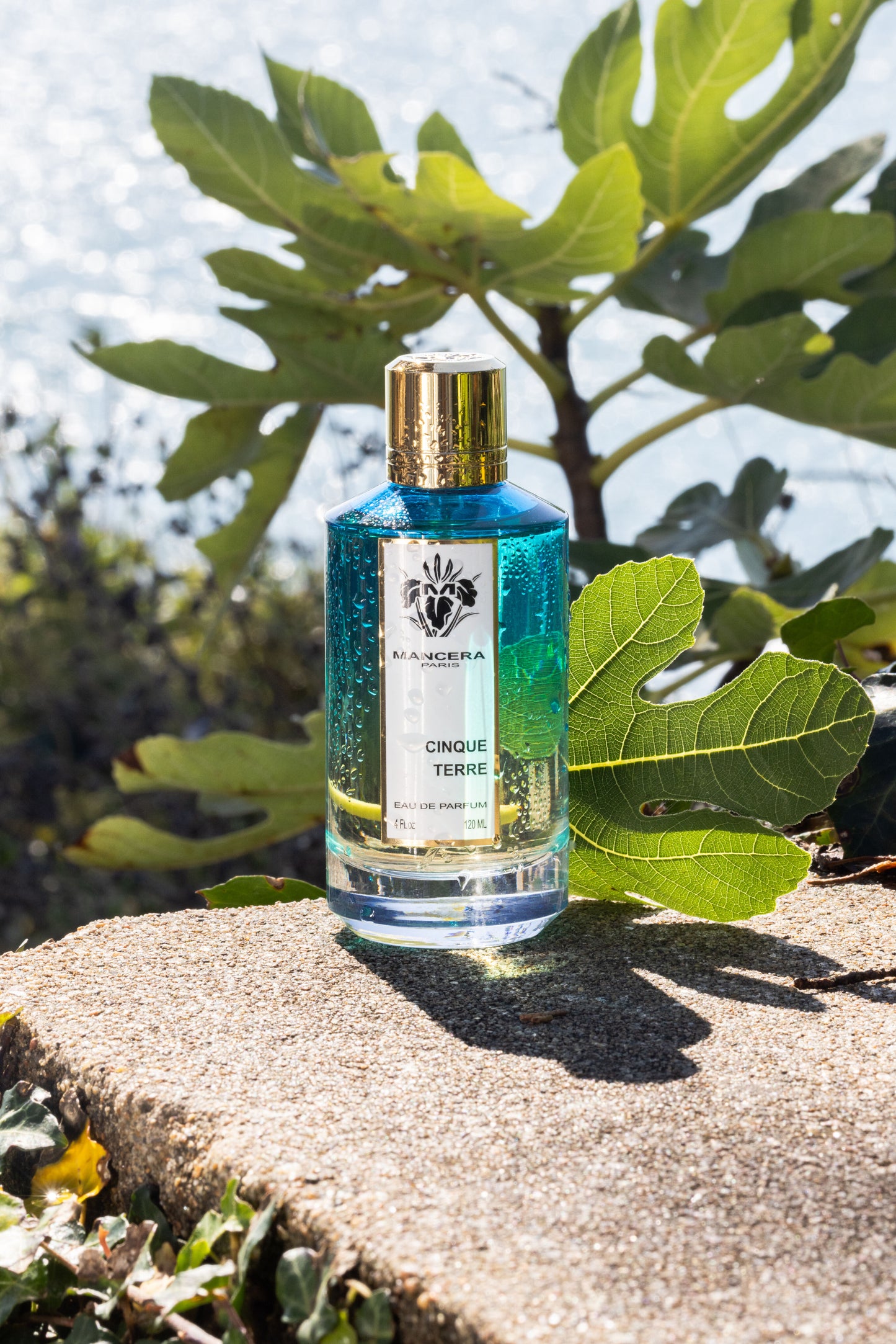 Cinque Terre by Mancera