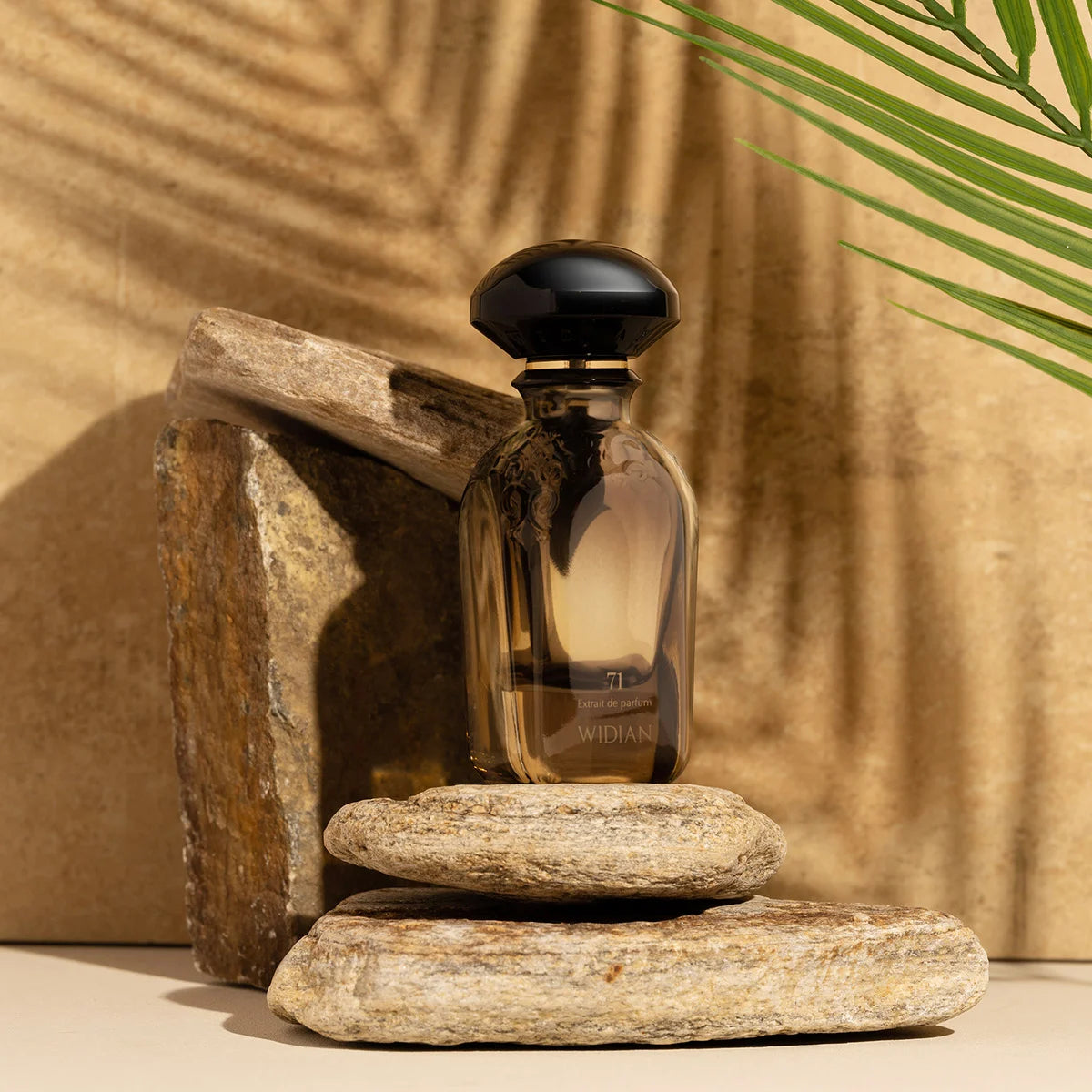 Limited 71 by Widian