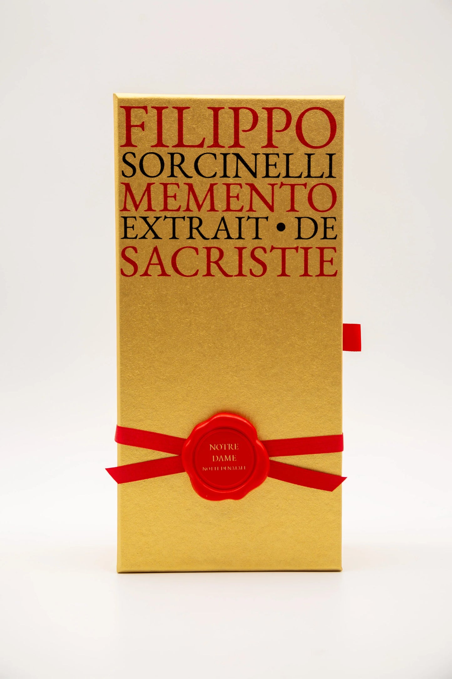 Notre Dame Notte di Natale by Filippo Sorcinelli