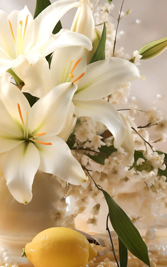 51 Pour Femme Parfum by Roja