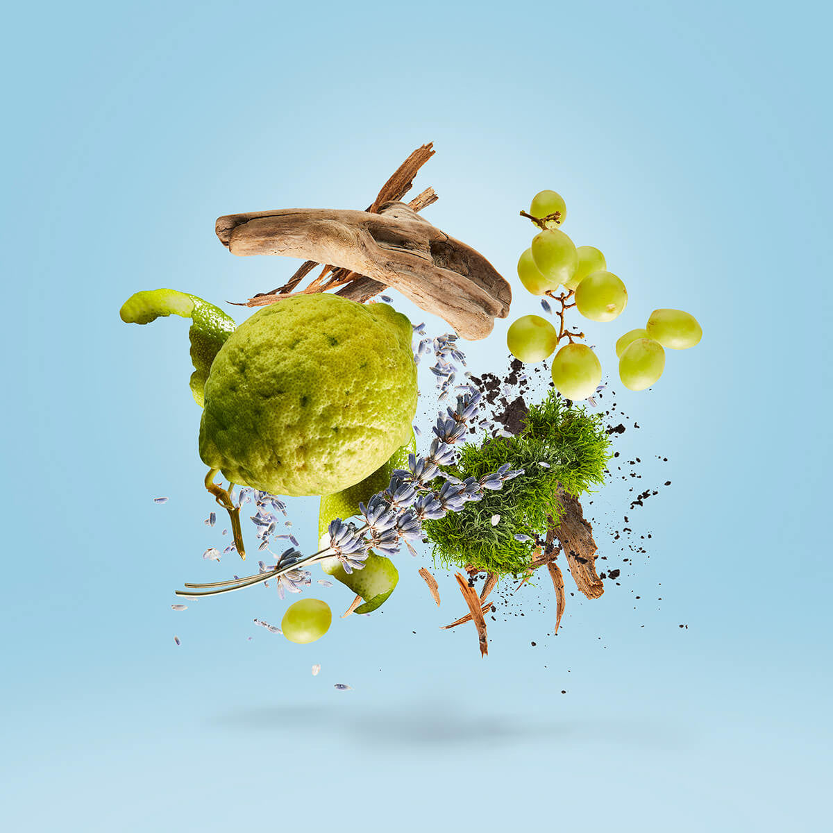 Mefisto Gentiluomo Casamorati by Xerjoff