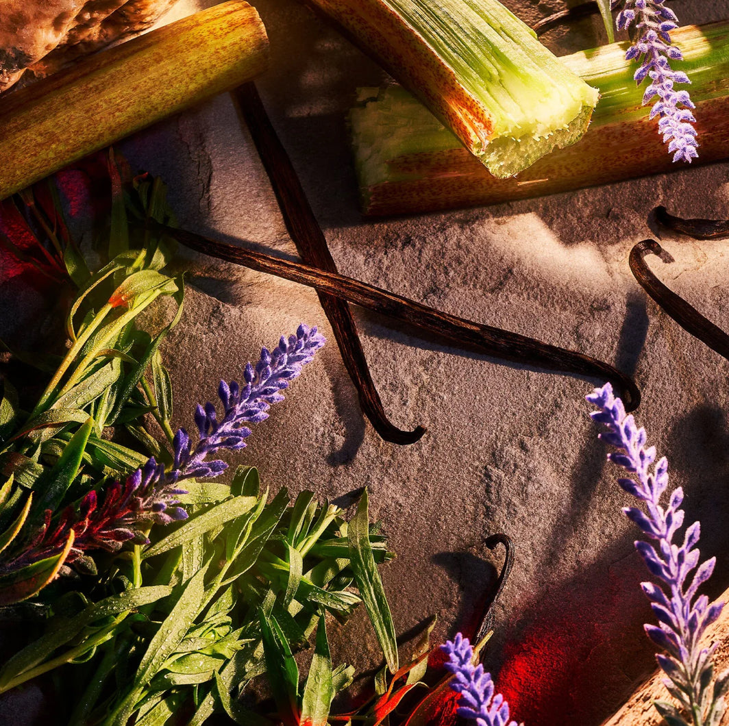 Danger Pour Homme Parfum Cologne by Roja