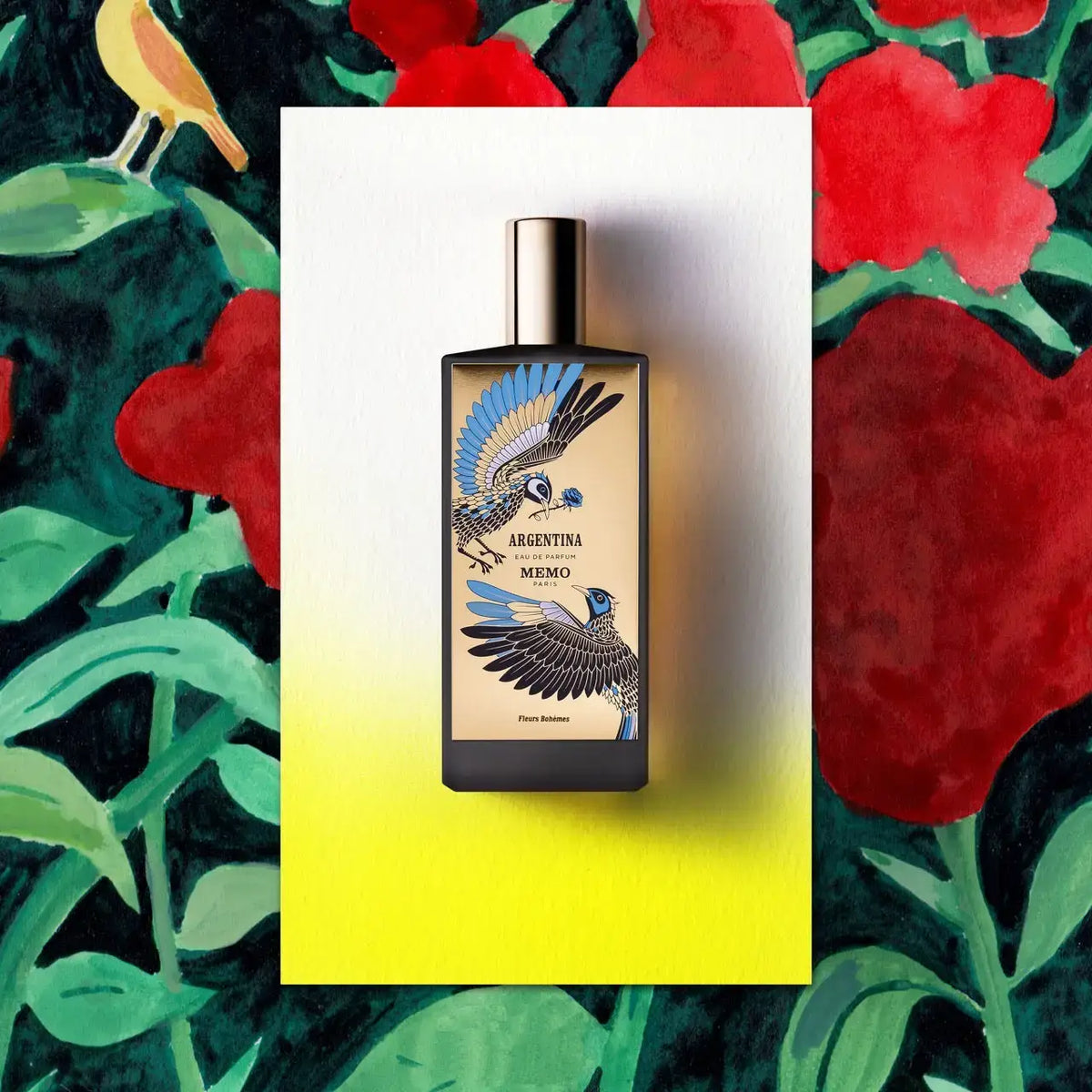 Argentina by Memo Paris