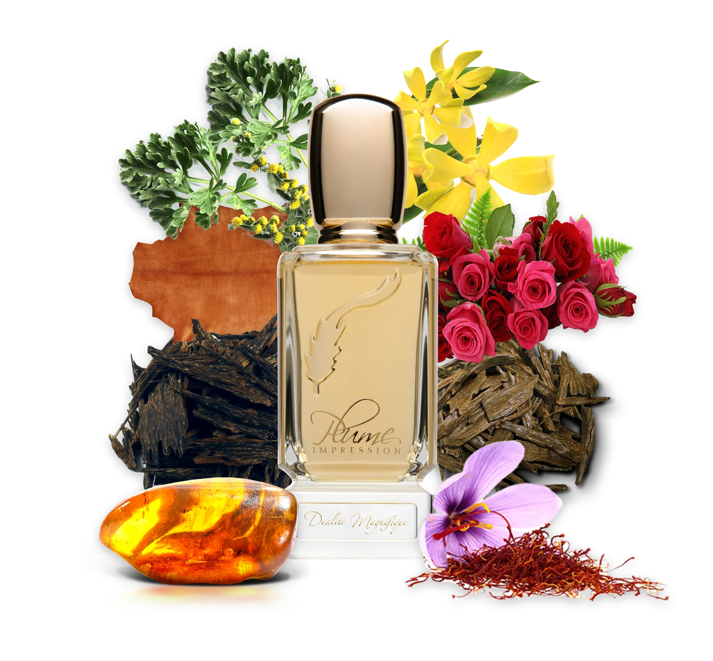 Dualite Magnifique By PLUME IMPRESSION