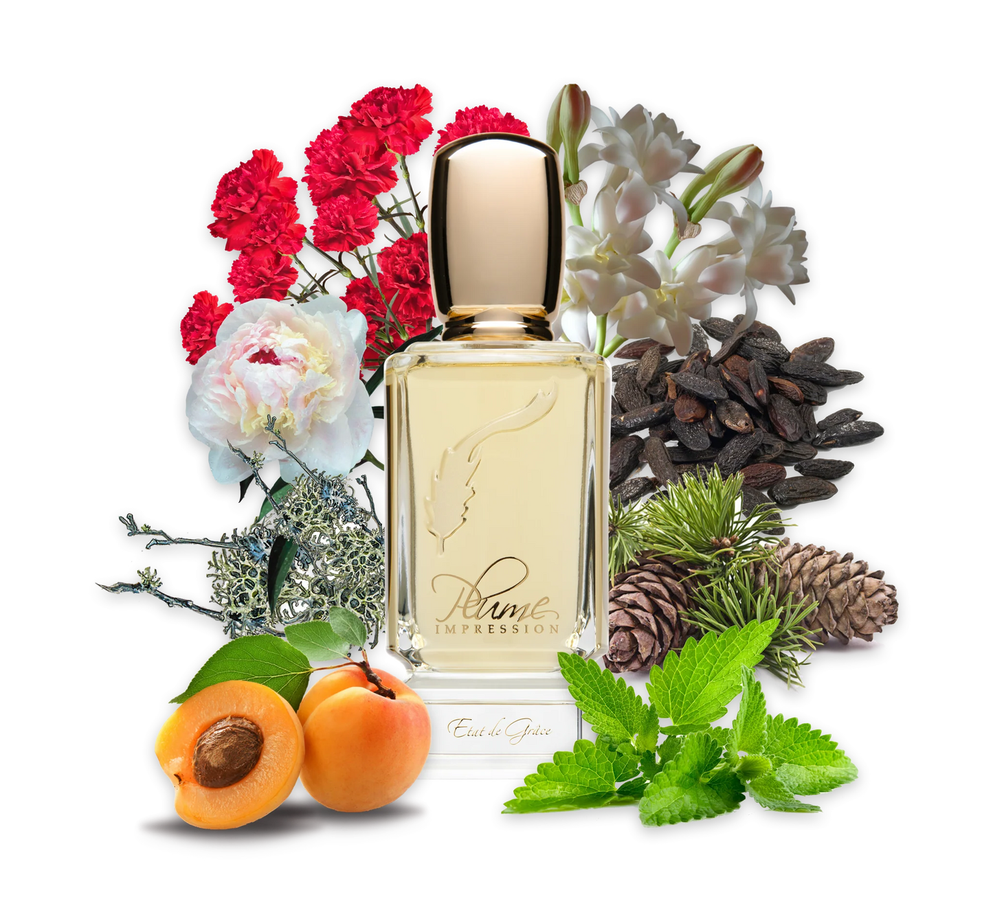 Etat de Grace By PLUME IMPRESSION
