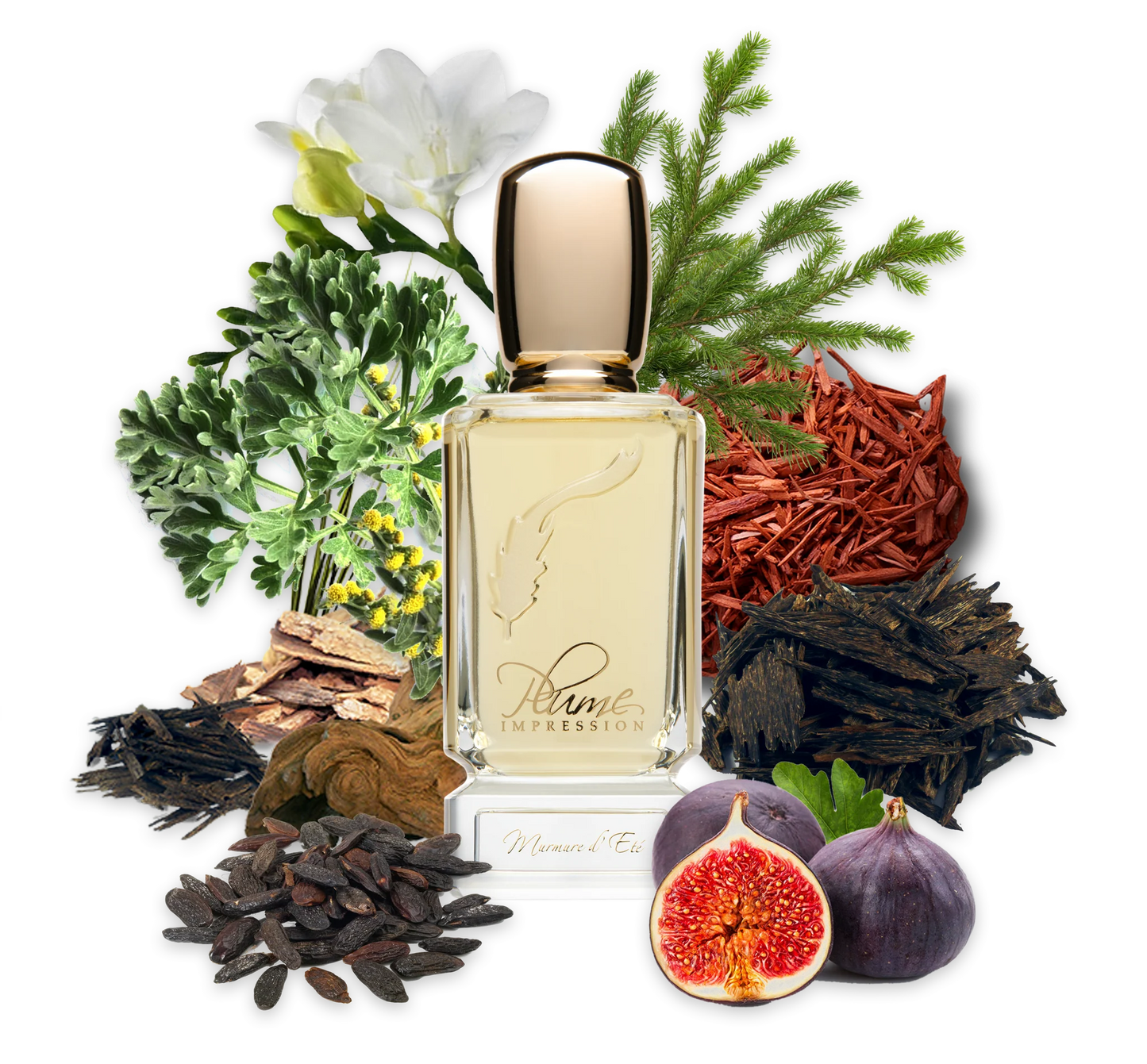 Murmure D'ete By PLUME IMPRESSION