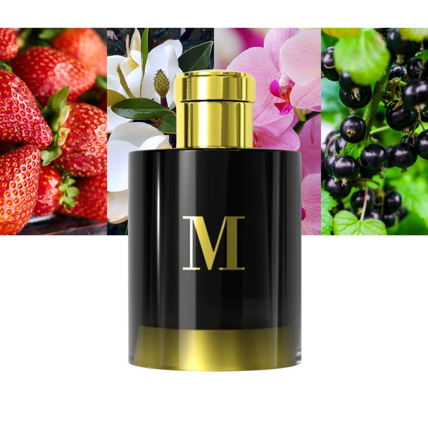 M by Pantheon Roma