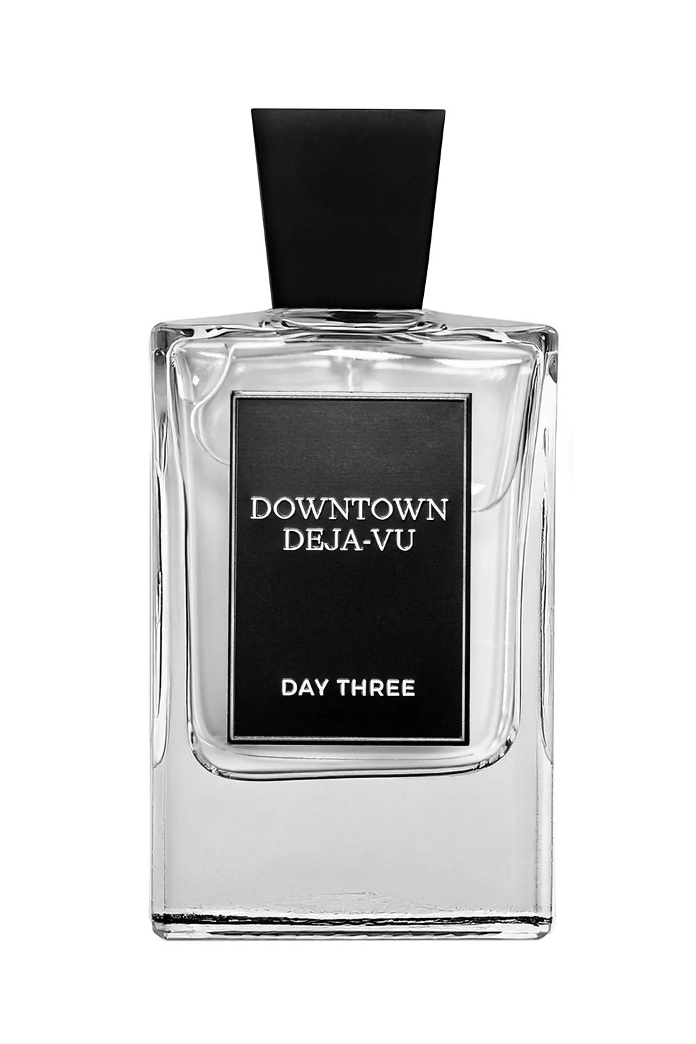 Downtown Deja Vu by Day Three