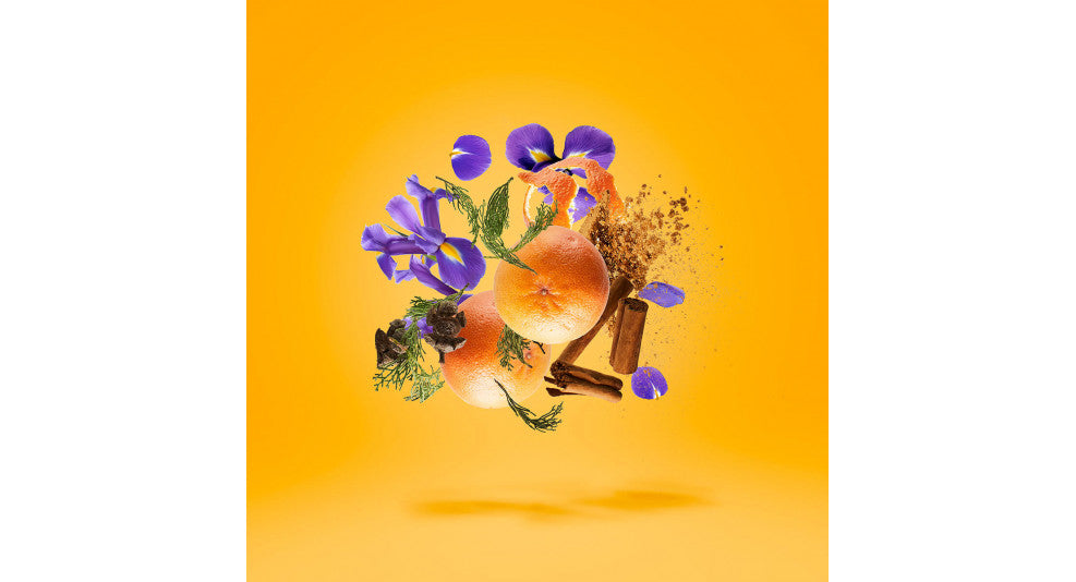 P.33 Sketchbook by Xerjoff