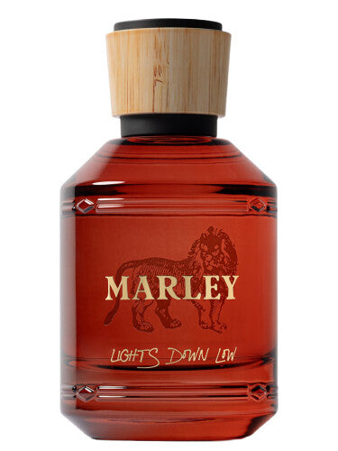 Lights Down Low by Marley