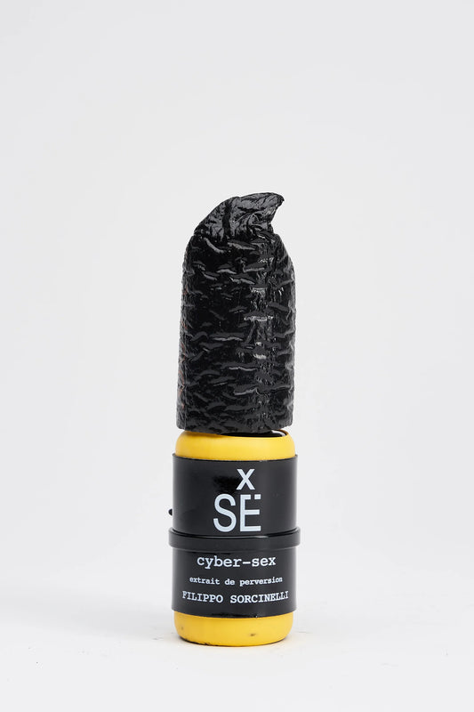 cyber-sex By Filippo Sorcinelli