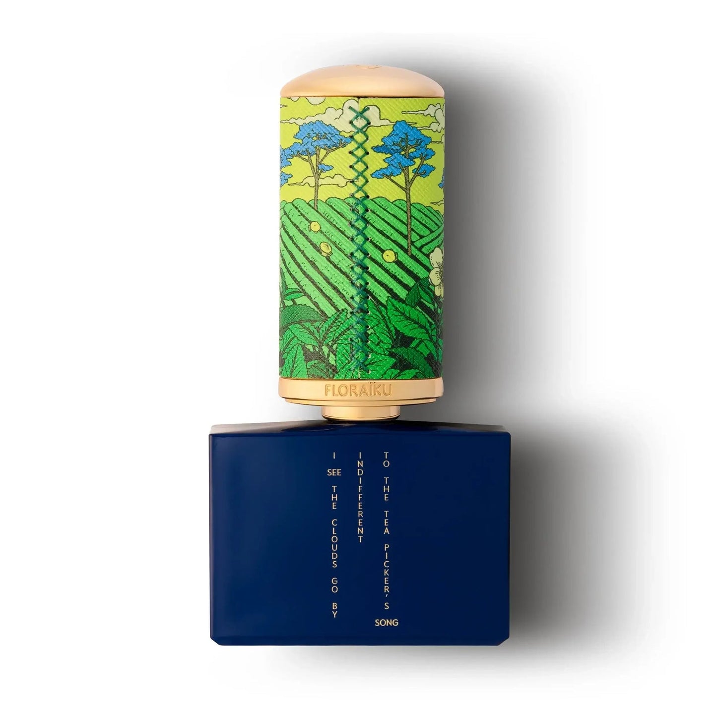 I see the clouds go by by Floraiku