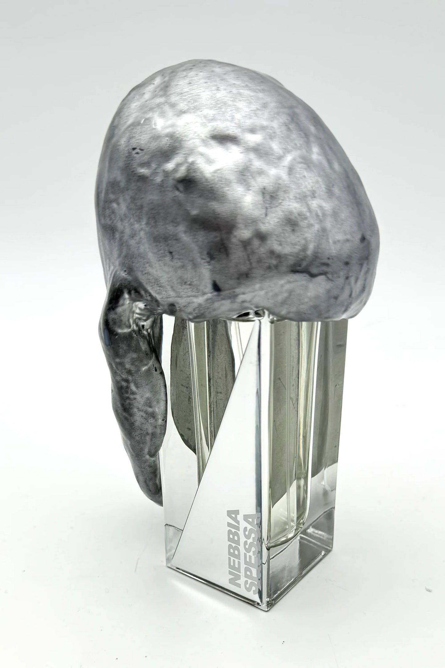 Nebbia Spessa by Filippo Sorcinelli