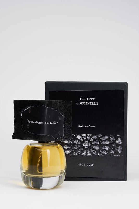 Notre Dame 15.4.2019 delire de Voyage by Filippo Sorcinelli