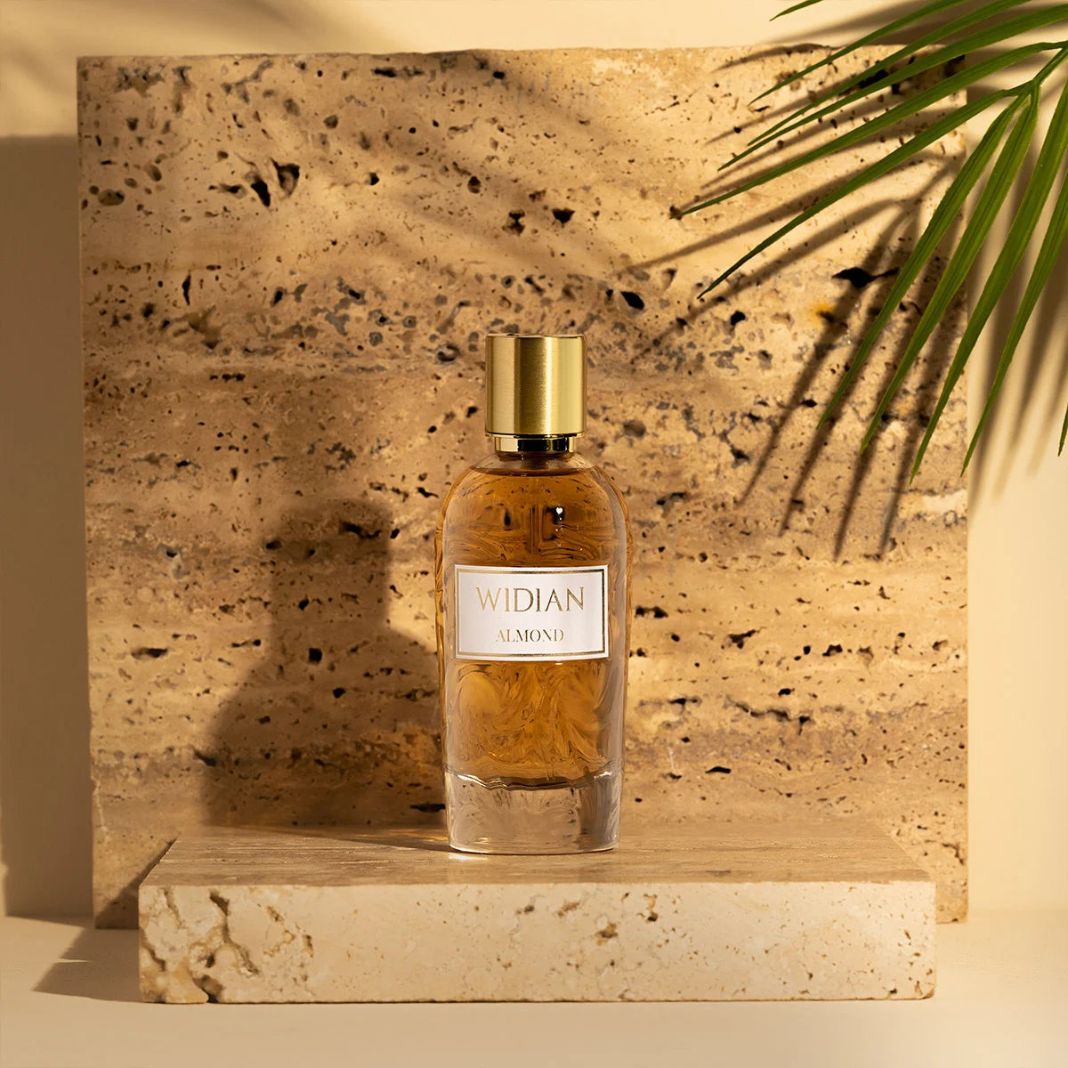 Almond by Widian