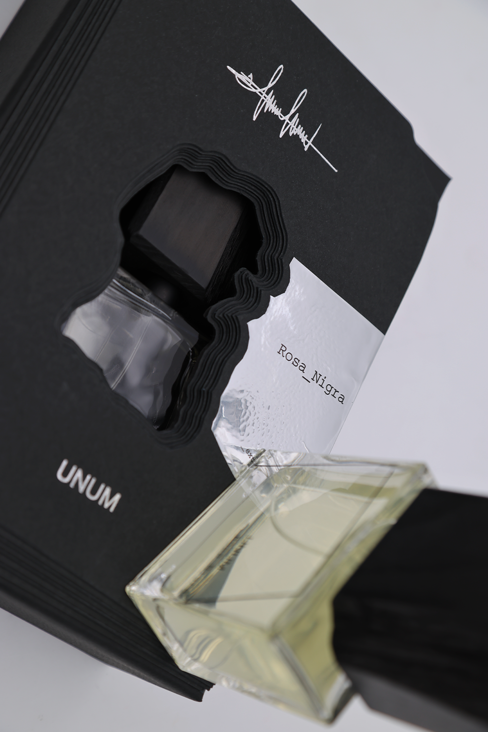 Unum Rosa Anitra by Filippo Sorcinelli