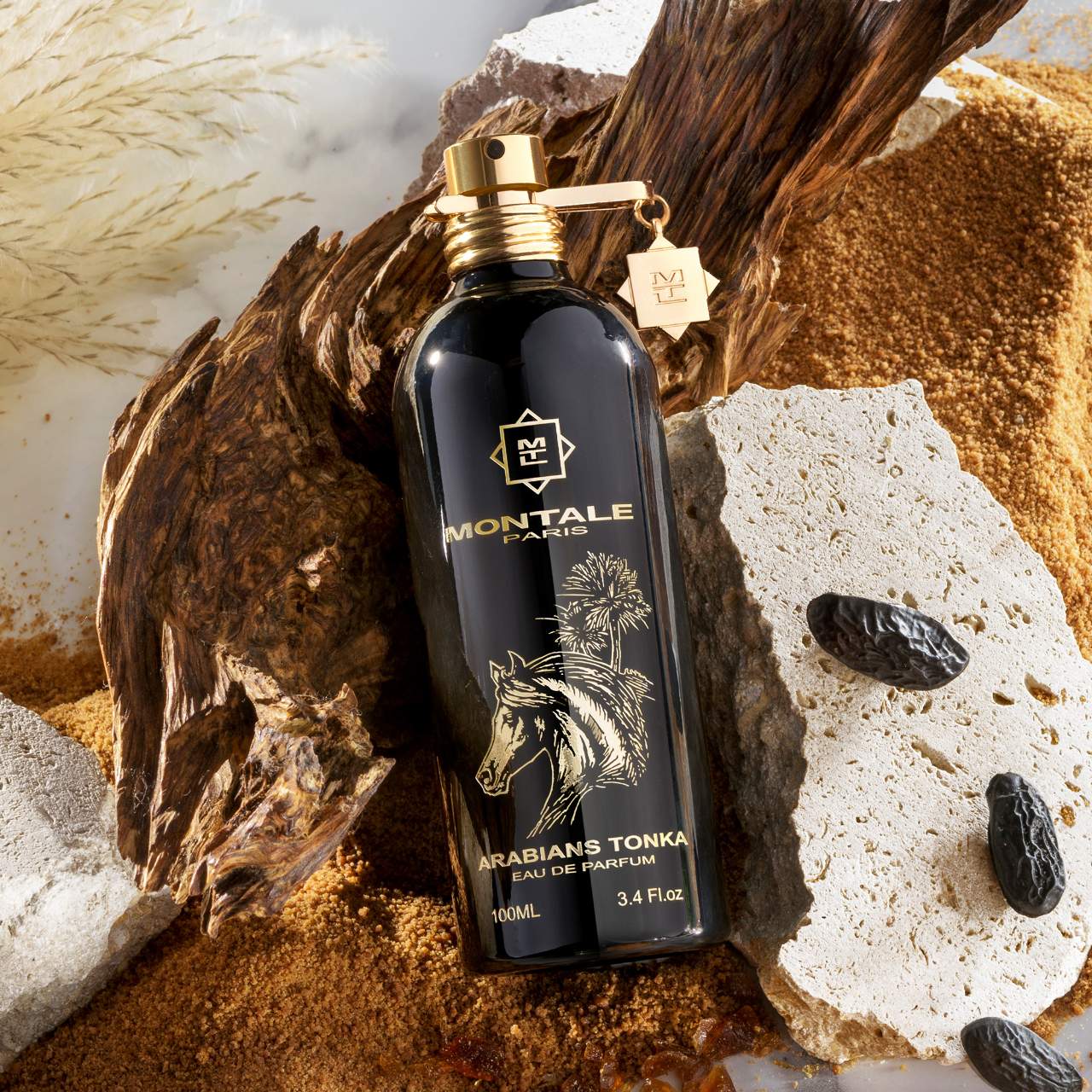 Arabians Tonka By Montale