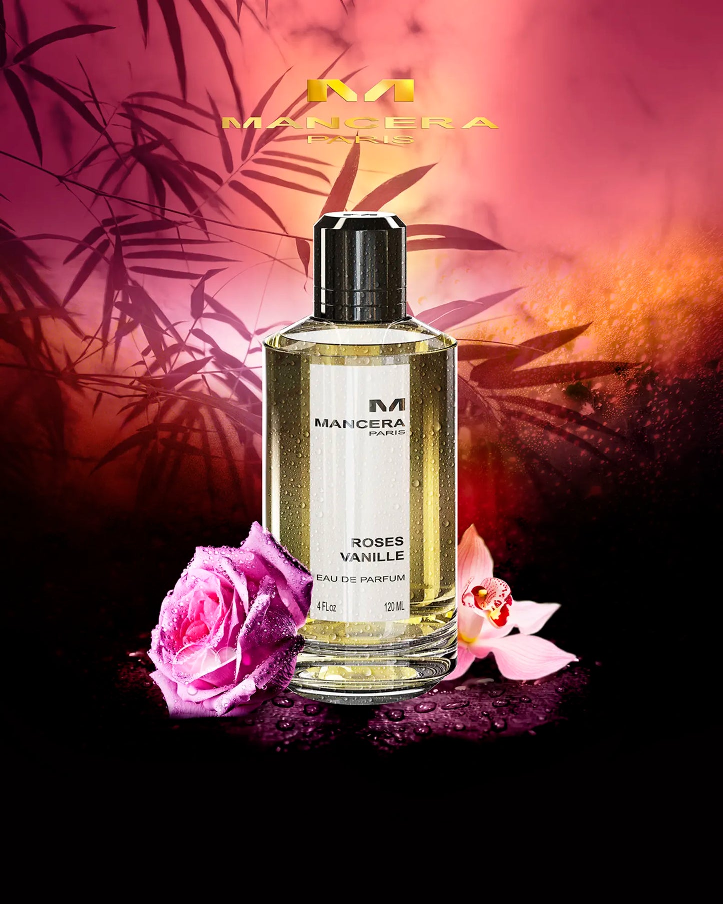 Roses Vanille By Mancera