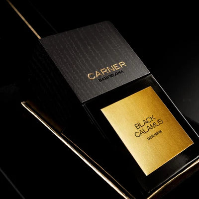 Black Calamus By Carner Barcelona