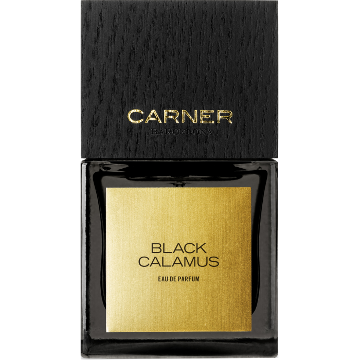 Black Calamus By Carner Barcelona