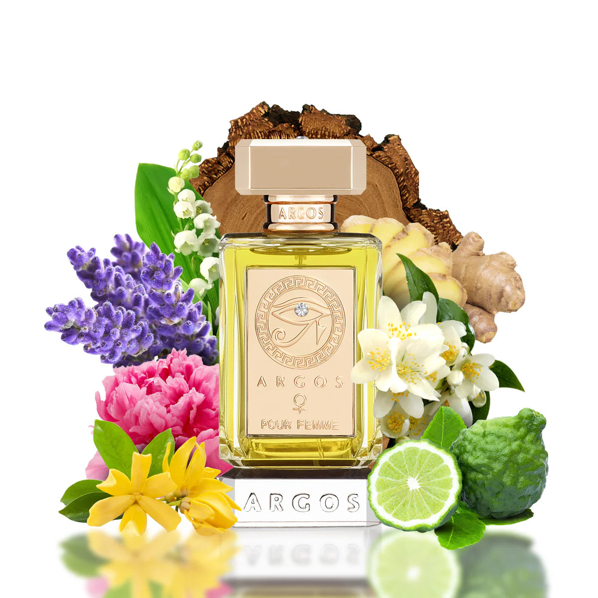 Pour Femme by Argos