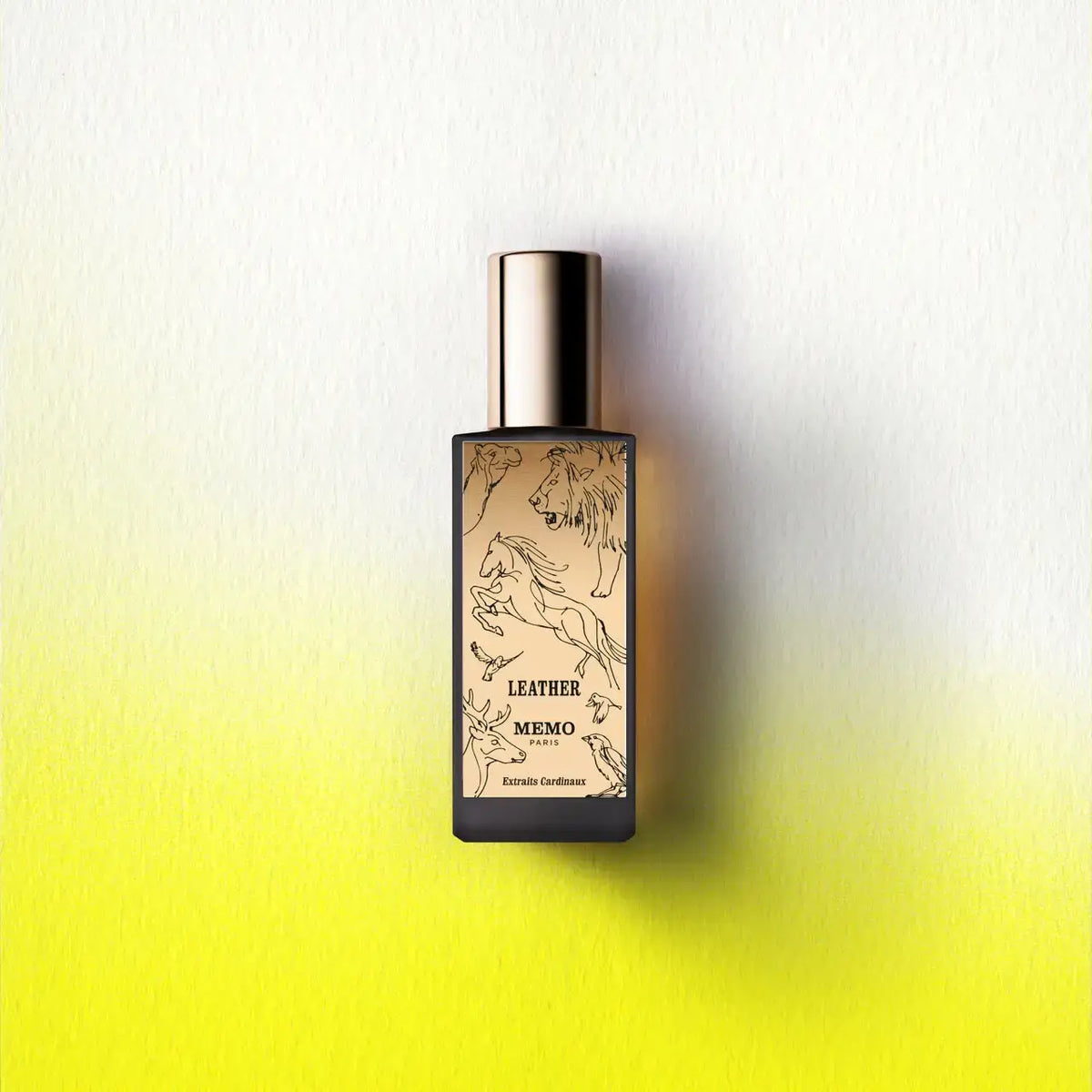 Leather by Memo Paris