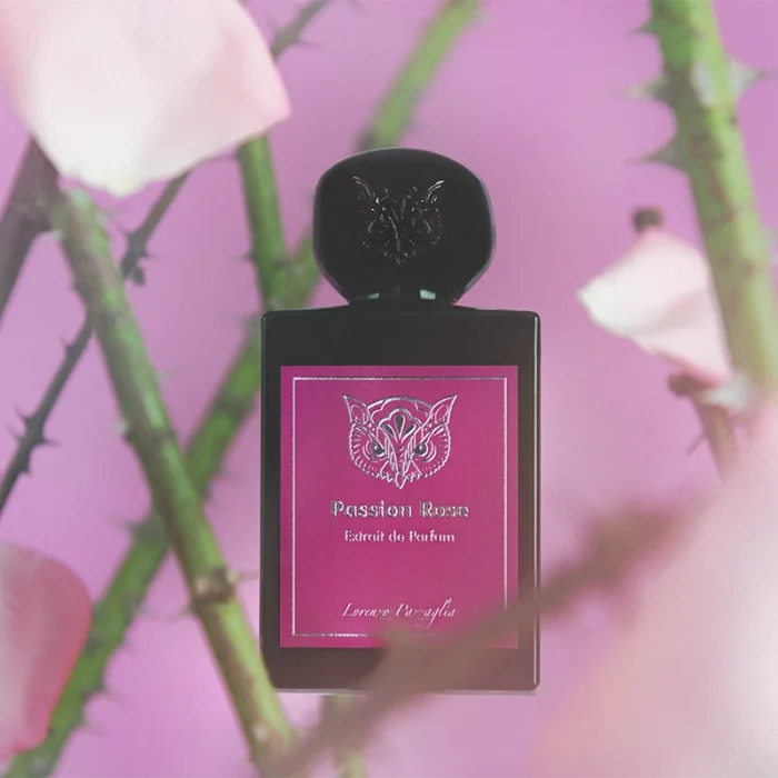 Passion Rose By Lorenzo Pazzaglia