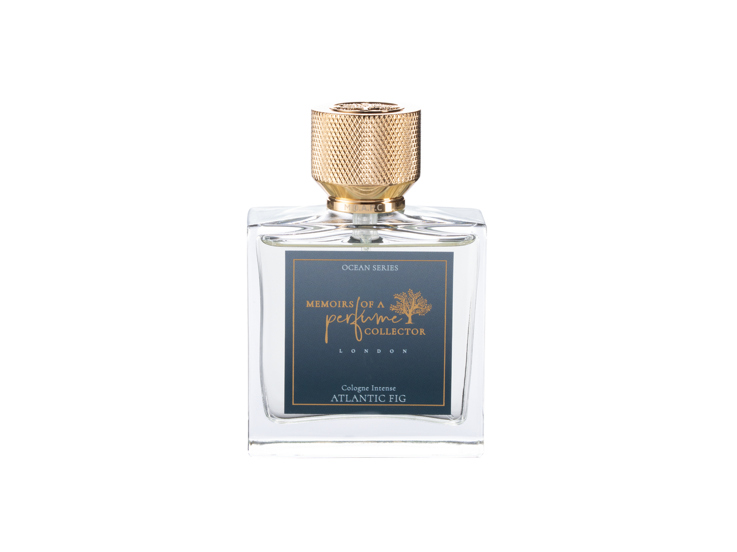 Atlantic Fig by Memoirs Of A Perfume Collector