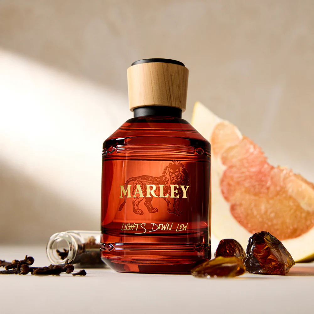 Lights Down Low by Marley