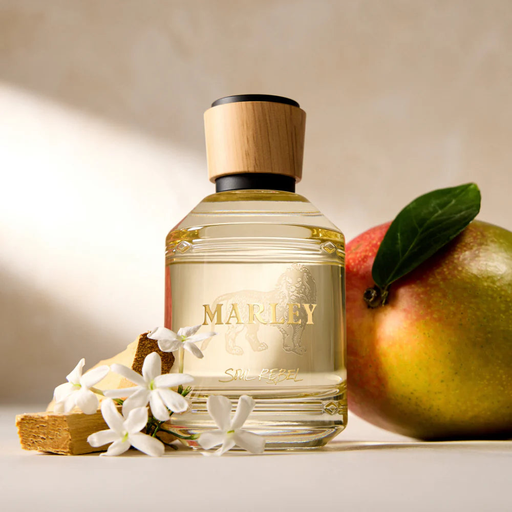 Soul Rebel by Marley